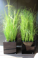 kompozycja Trawy Macarena w sześciennej czarnej donicy, wys.140cm 