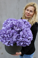 kompozycja kwiatowa / bukiet Flowerbox hortensja XXL, wys.43cm 