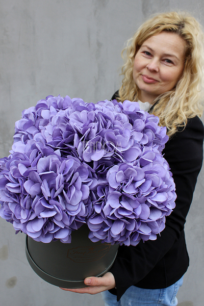 kompozycja kwiatowa / bukiet Flowerbox hortensja XXL, wys.43cm 