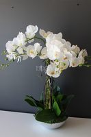 sztuczny storczyk Silver Dreams 3 w srebrnej, aluminiowej donicy, wys.68cm