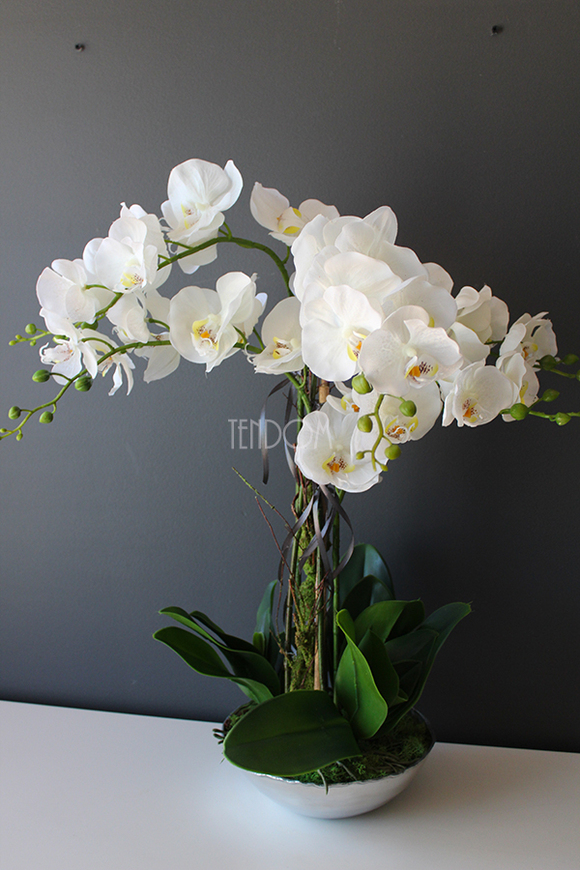 sztuczny storczyk Silver Dreams 3 w srebrnej, aluminiowej donicy, wys.68cm