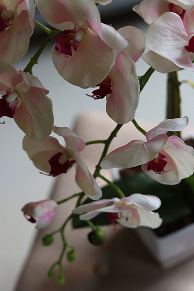 Georgina New, sztuczny storczyk w kwadratowej donicy, wys.47cm