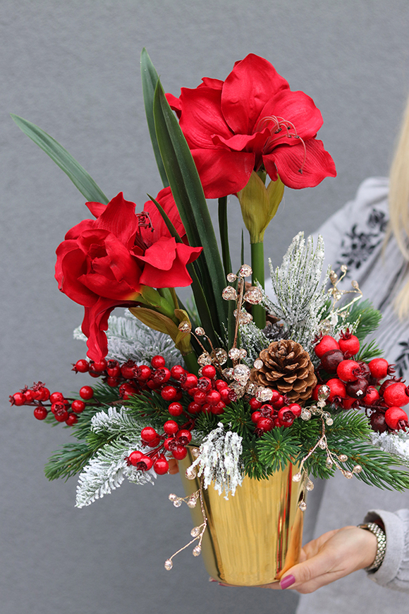 Amarylis Gold, świąteczna kompozycja z czerwonym amarylisem, wys.53cm 