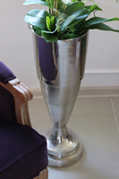 ekskluzywny storczyk w pucharze, Beethoven Silver, wys.130cm  