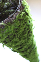 Florina, tuba florystyczna / osłonka / stożek do powieszenia, wy.80x28cm