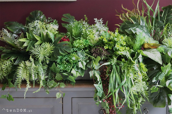 GreenViet Premium, egzotyczna kompozycja roślinna, 1m bieżący