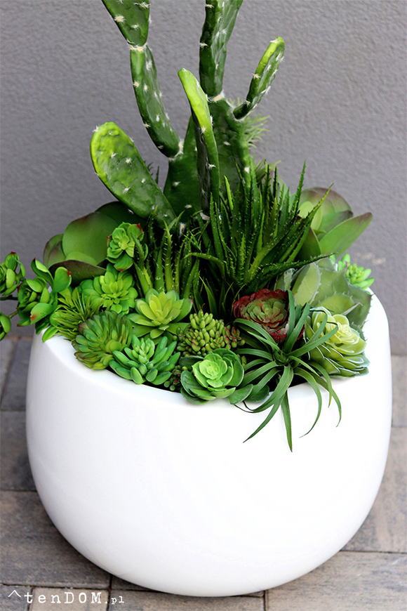Desideria Cacti Fiberglass, sukulenty z kaktusem w białej donicy,  wys.92cm