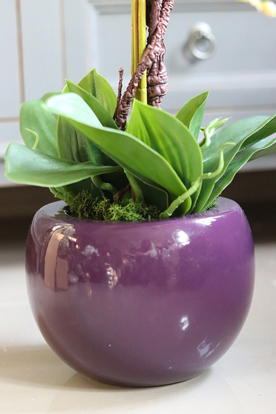 Lawendowa Kraina, storczyk w ceramicznej, fioletowej donicy, wys.68cm