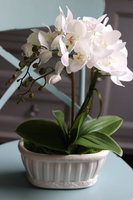 Nelia, sztuczny storczyk w białej podłużnej donicy, wys.46cm