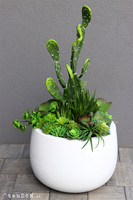 Desideria Cacti Fiberglass, sukulenty z kaktusem w białej donicy,  wys.92cm