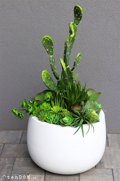 Desideria Cacti Fiberglass, sukulenty z kaktusem w białej donicy,  wys.92cm