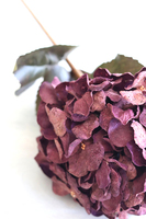 Burgundia, bukiet sztucznych hortensji, bordo, dł.75cm, 3szt