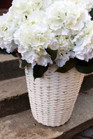 bardzo bogaty kosz z białymi hortensjami Provance, wys.67cm 