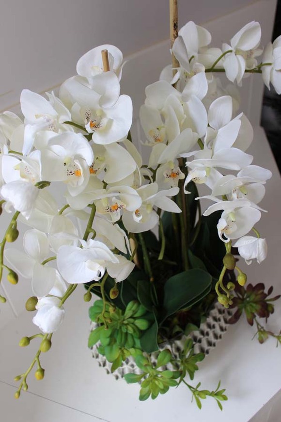 ekskluzywny sztuczny storczyk z sukulentami Laomina, wys.65cm