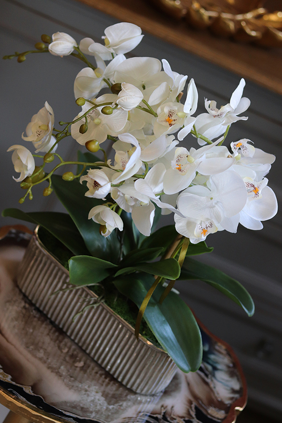 elegancki biały storczyk w srebrnej donicy, Santiago, wys.47cm