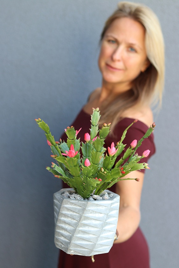 dekoracyjna kompozycja z grudnikiem, Remina, wys.30cm