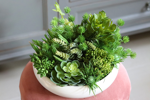 Gerrano, kompozycja sukulenty w białej misie, wys.25cm