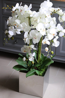 Moderno Mirror, elegancka lustrzana donica, kwadratowa, wys.25cm