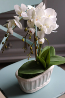 Nelia, sztuczny storczyk w białej podłużnej donicy, wys.46cm