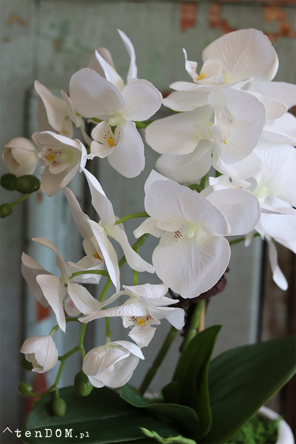 Nelia 2, sztuczny storczyk w białej podłużnej donicy, wys.46cm