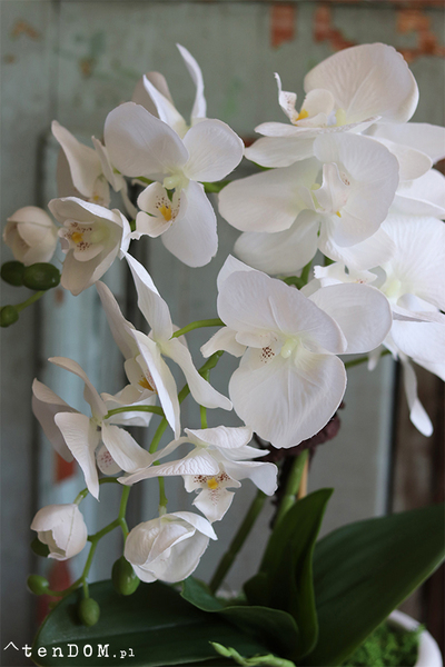 Nelia 2, sztuczny storczyk w białej podłużnej donicy, wys.46cm