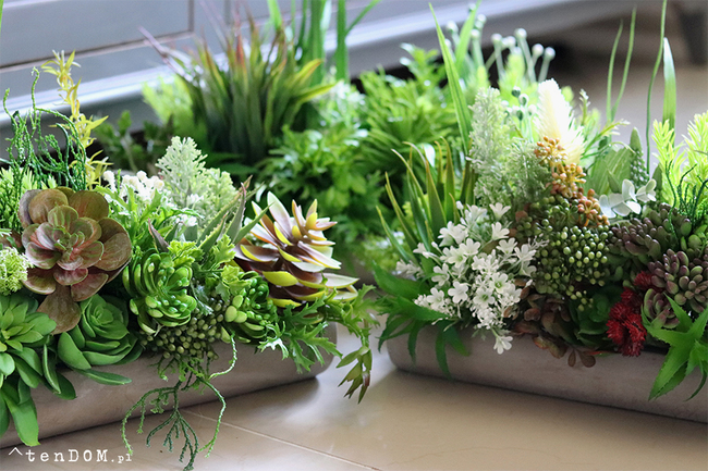 kompozycja sukulenty w długiej donicy, Hektor A, dł.48cm  