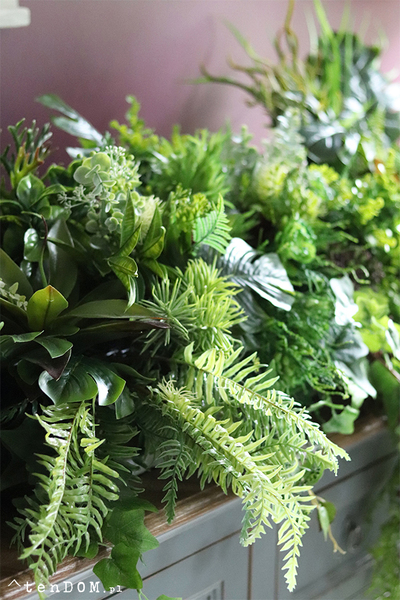 GreenViet Premium, egzotyczna kompozycja roślinna, 1m bieżący