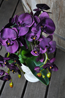 przepiękny storczyk Purple w ozdobnej donicy wys.ok.68cm