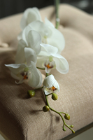 gałązka kwiatowa, sztuczny storczyk / orchidea Cream IV, 1 szt, dł.90cm