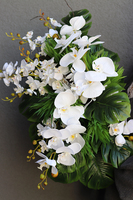 kompozycja Monstera & Orchidea, wym.32x38x56cm