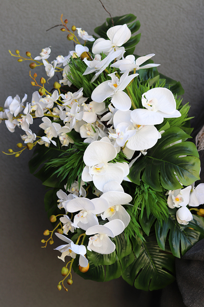 kompozycja Monstera & Orchidea, wym.32x38x56cm