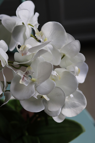 Nelia, sztuczny storczyk w białej podłużnej donicy, wys.46cm