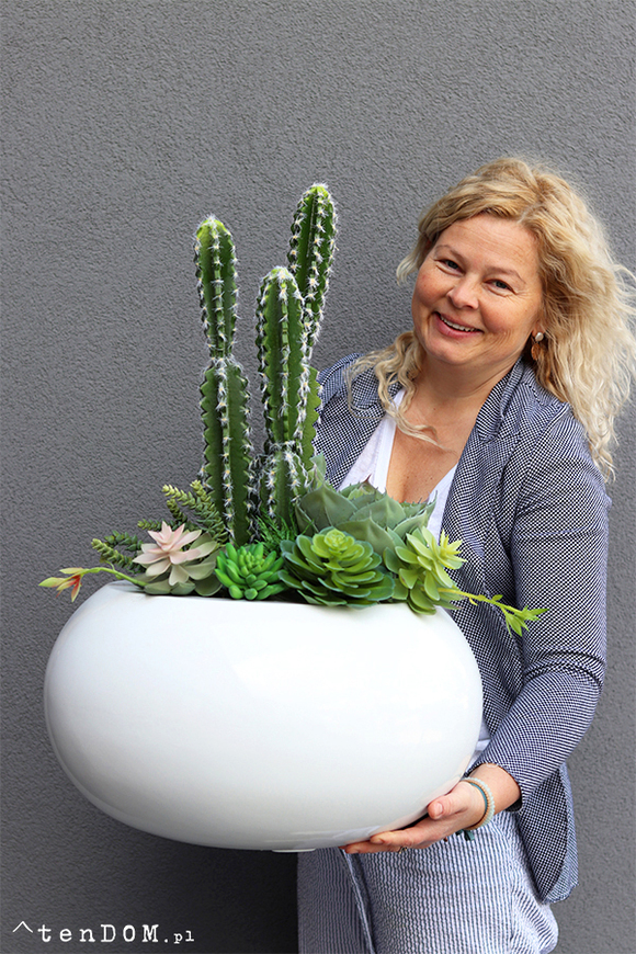 Esperanza Cacti Fiberglass, sukulenty z kaktusem w białej donicy, wys. 70cm