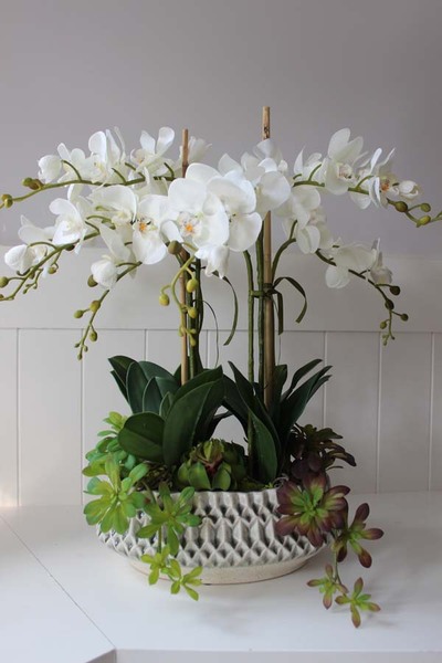 ekskluzywny sztuczny storczyk z sukulentami Laomina, wys.65cm