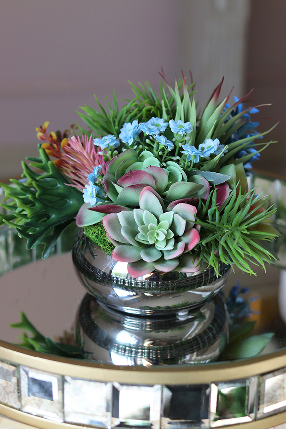 Kelona, kompozycja sukulenty w okrągłej lustrzanej donicy, wys.17cm