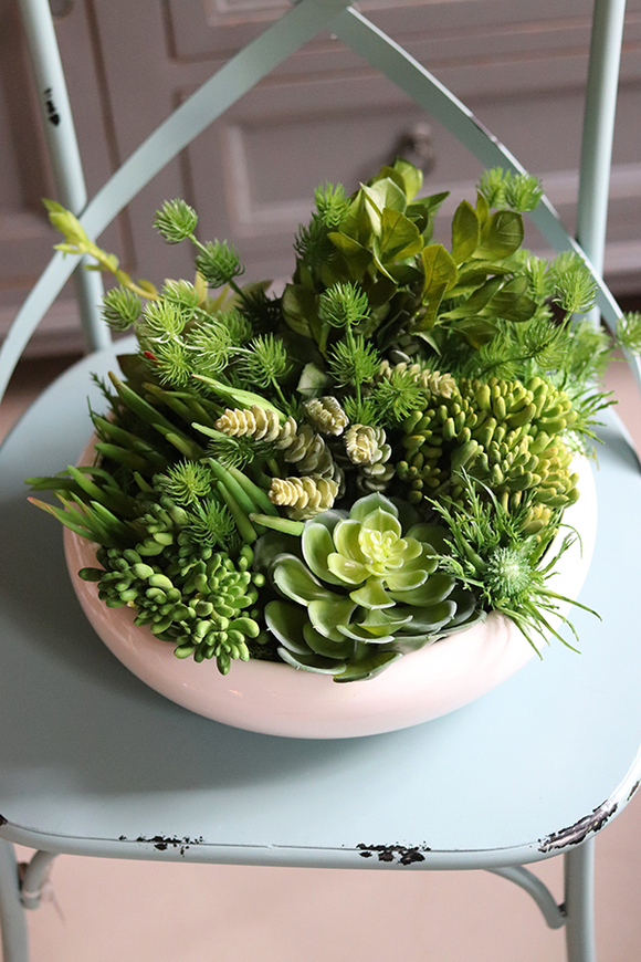 Gerrano, kompozycja sukulenty w białej misie, wys.25cm