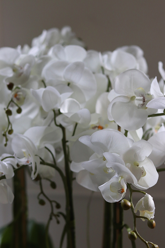 Fiberglass Grande Simple White, efektowny storczyk w białej donicy z fiberglass, wys.118cm 