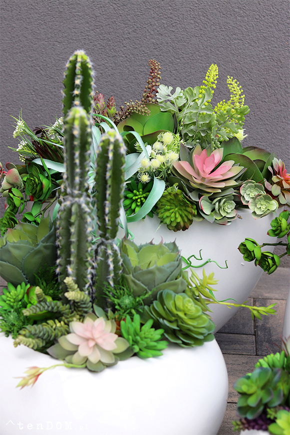 Esperanza Cacti Fiberglass, sukulenty z kaktusem w białej donicy, wys.70cm