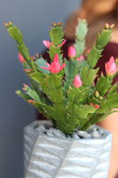 dekoracyjna kompozycja z grudnikiem, Remina, wys.30cm