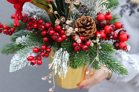 Amarylis Gold, świąteczna kompozycja z czerwonym amarylisem, wys.53cm 