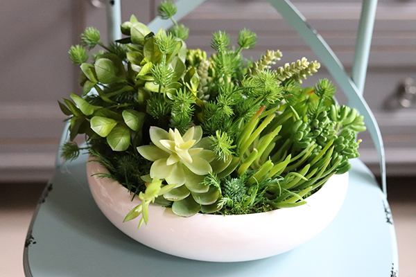 Gerrano, kompozycja sukulenty w białej misie, wys.25cm