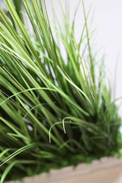 Gretano New, sztuczna trawa w gąbce florystycznej do Twoje donicy, wys.100cm 