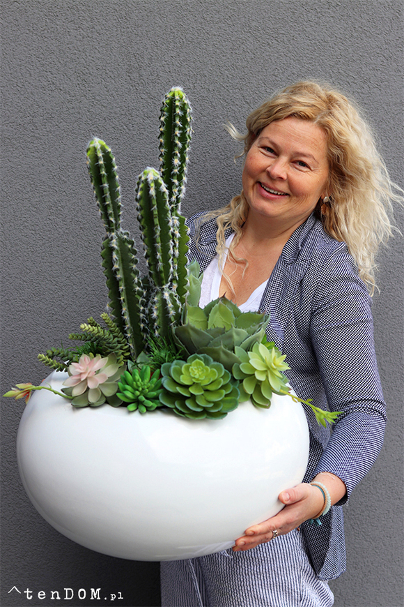 Esperanza Cacti Fiberglass, sukulenty z kaktusem w białej donicy, wys.70cm