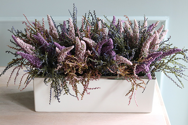 kompozycja kwiatowa w białej donicy, Wrzosy Tarasowe, wym.30x60cm  