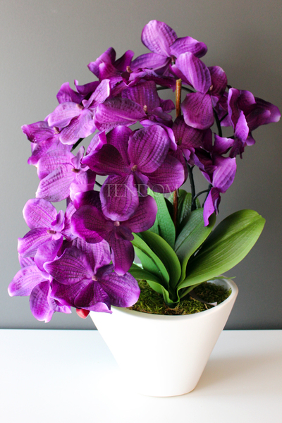 ciekawy storczyk sztuczny Castello Fiolet, wys.55cm