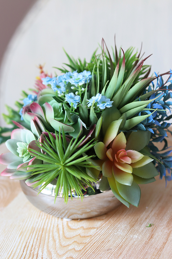 Kelona, kompozycja sukulenty w okrągłej lustrzanej donicy, wys.17cm