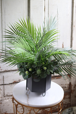 Refania, sztuczna palma z sukulentami w metalowej donicy, wys.53cm