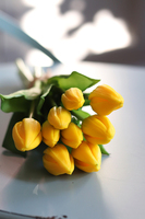 bukiet tulipanów silikonowych, Genotte Yellow, 9szt. dł.29cm