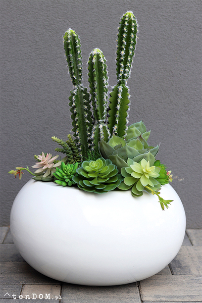 Esperanza Cacti Fiberglass, sukulenty z kaktusem w białej donicy, wys.70cm