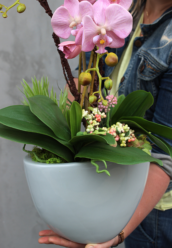 elegancki sztuczny storczyk, Terrana, wys.70cm